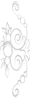 Decoration ornament vector