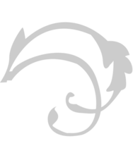 Decoration floral vector