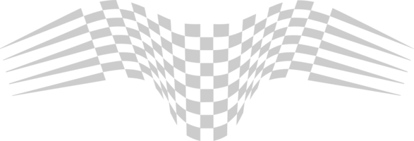 Race Flag vector