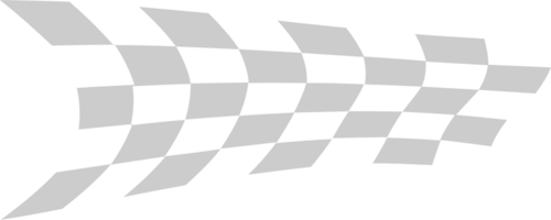 Flag race vector