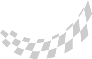 Flag race vector