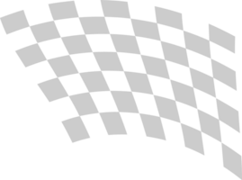 Flag race vector