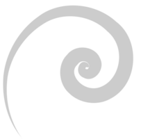 Swirl  vector