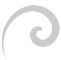 Swirl  vector