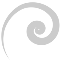 Swirl  vector