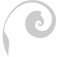 Swirl  vector