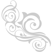 Swirl vector