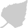 Autumn vector