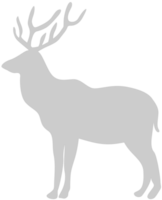 Animal vector