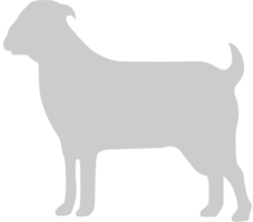 Silhouettes Goat vector