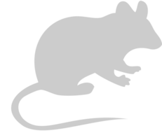 siluetas ratón vector