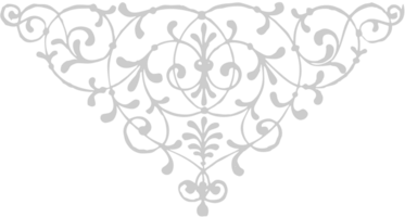 Designs Ornaments vector