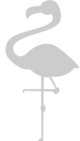 Flamingo vector