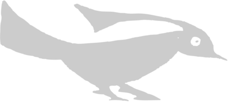 Bird vector