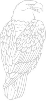 águila vector