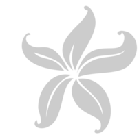 flor del lirio vector