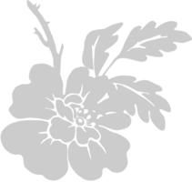 Hibiscus Flower vector