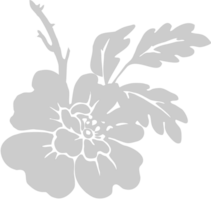 Flor Hibiscus vector