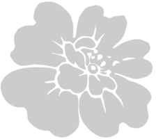 Flor Hibiscus vector