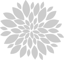 flor de clavel vector