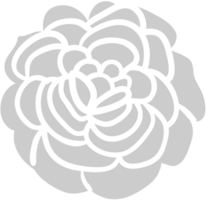 flor de clavel vector