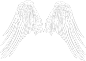 Wings vector