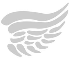 Wing  vector