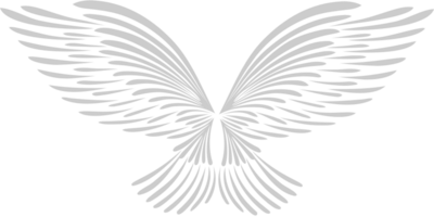 Wing angel vector