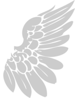 Wing  vector