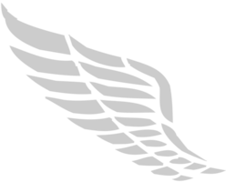 Wing  vector