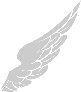 Wing  vector