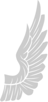 Wing  vector