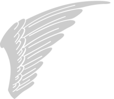 Wing  vector