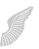 Wing  vector