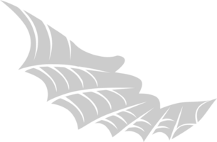 Wing  vector