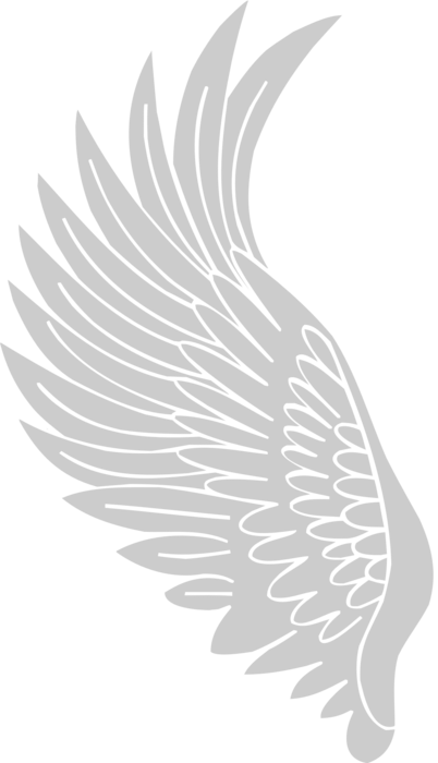 Wing SVGs for Free Download