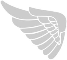 Wing vector