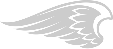 Wing vector