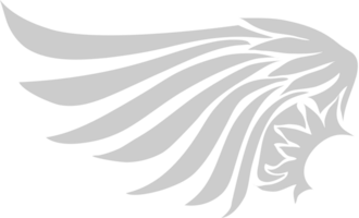 Wing vector