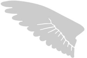 Wing vector