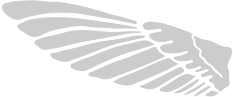 Wing vector