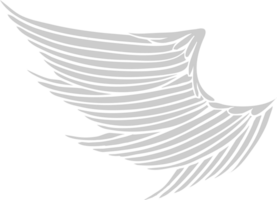 Wing vector