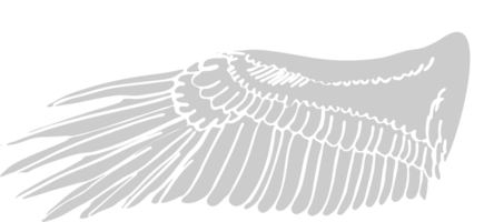 Wing vector