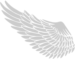 Wing vector