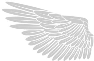 Wing vector