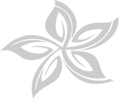 Flower vector