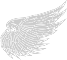 Wing angel vector