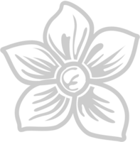 frangipani vector