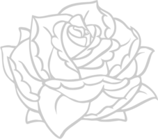 Rose  vector