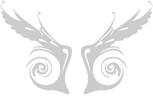 Wing spiral vector